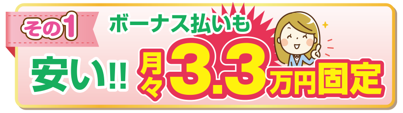 ボーナス払いも安い!!月々3.3万円固定